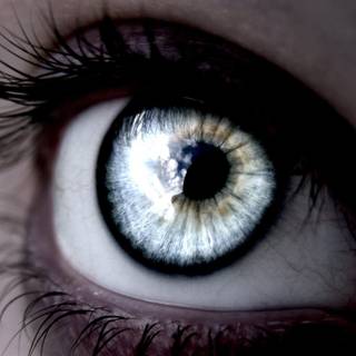 Macro eyes women wallpaper