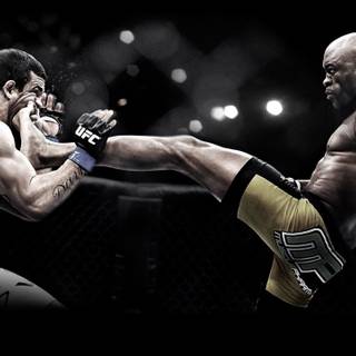 Jiu Jitsu desktop wallpaper