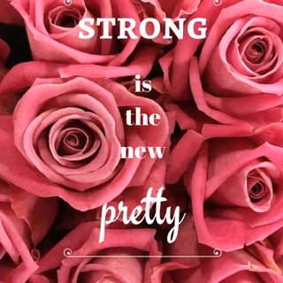 Pink rose iPhone wallpaper