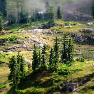 Country spring wallpaper