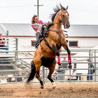 Women rodeo wallpaper