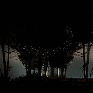 Desktop What Remains of Edith Finch wallpaper