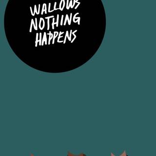 Wallows computer wallpaper