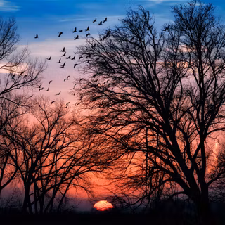 Retro sun dusk 4k wallpaper