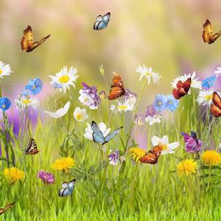 Spring meadows wallpaper