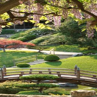 Spring zen garden wallpaper
