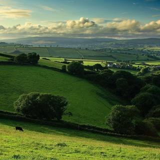 Spring meadows wallpaper