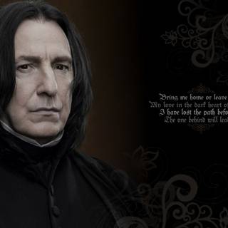 Harry Potter Hogwarts teachers quotes wallpaper