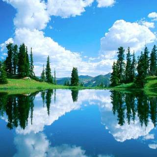 HD nature computer wallpaper