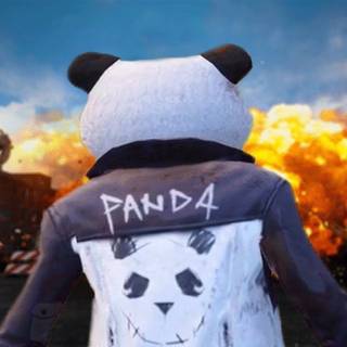 Panda PUBG wallpaper