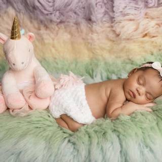 Nova Prince wallpaper