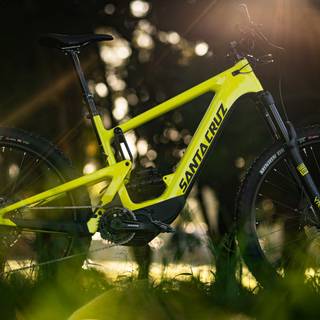 Santa Cruz snakebite wallpaper