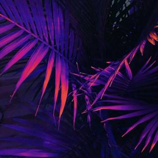 Aesthetic picture HD wallpaper