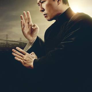 Ip Man 4: The Finale wallpaper