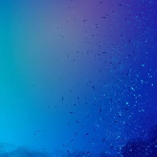 Spring Huawei P20 wallpaper