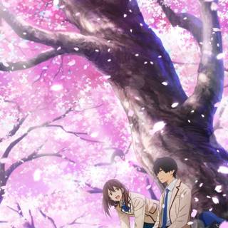 Kimi no Suizou wo Tabetai wallpaper