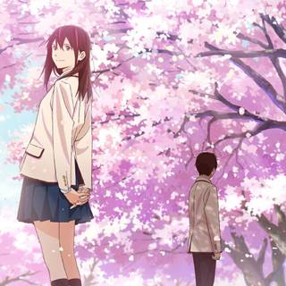 Kimi no Suizou wo Tabetai wallpaper