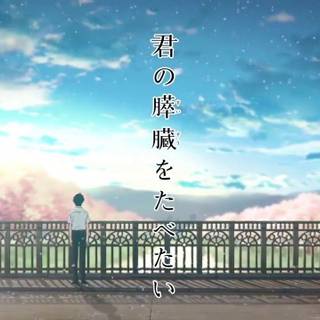 Kimi no Suizou wo Tabetai wallpaper