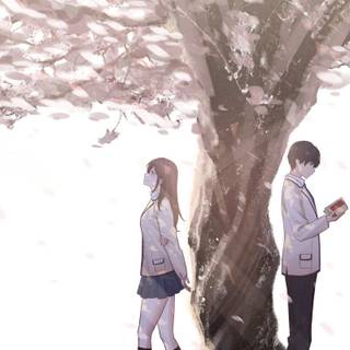 Kimi no Suizou wo Tabetai wallpaper