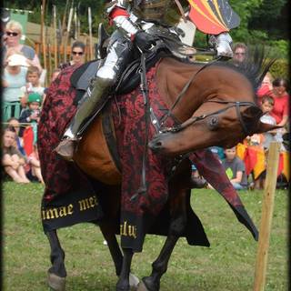 Knights jousting wallpaper