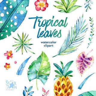 Tropical watercolor wallpaper