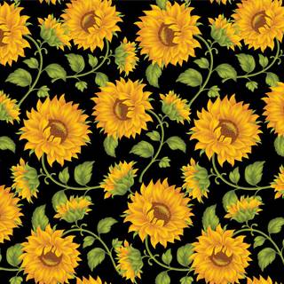 Laptop sunflower tumblr wallpaper