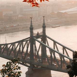 Made In Abyss mobile wallpaper