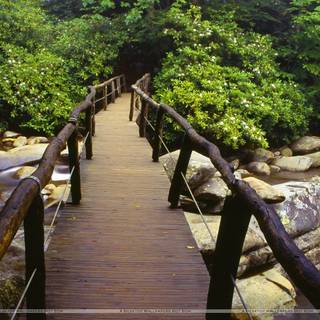 Desktop Smoky Mountains wallpaper