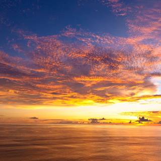 Vibe aesthetic horizontal wallpaper