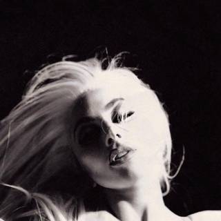 Lady Gaga Stupid Love wallpaper