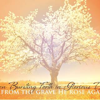 April Easter wallpaper