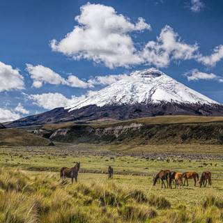 Cotopaxi Volcano wallpaper