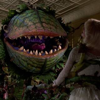 Little Shop of Horrors wallpaper