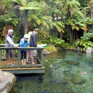 Rainbow spring nature park wallpaper