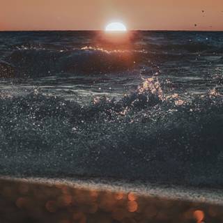 Eastern beach wallpaper