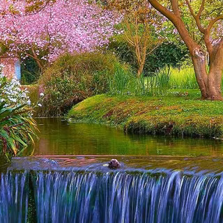 Natural Android wallpaper