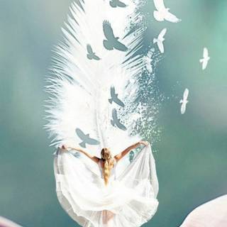 Love phone amazing wallpaper