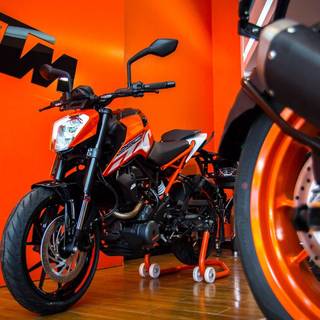 Duke 250 Bs6 wallpaper