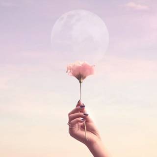 Tumblr aesthetic laptop wallpaper