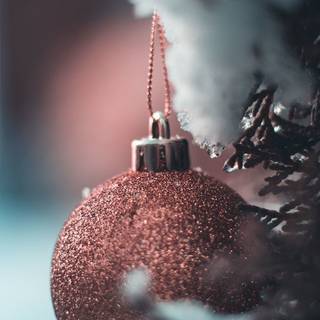 Sublime iPhone 11 wallpaper