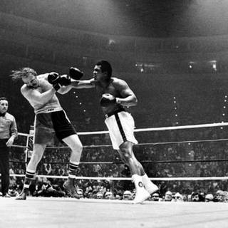 Muhammad Ali HD desktop wallpaper