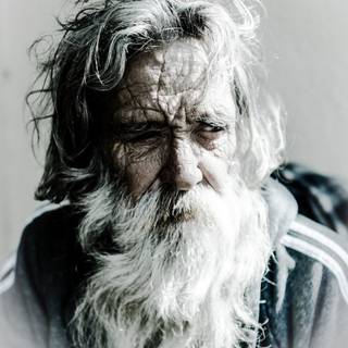 Beard side view HD mobile wallpaper