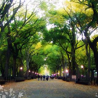 Central Park spring HD wallpaper