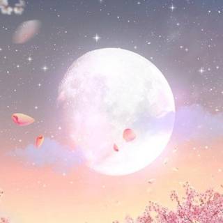 Moonlight aesthetic wallpaper