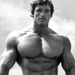 Arnold Schwarzenegger HD wallpaper