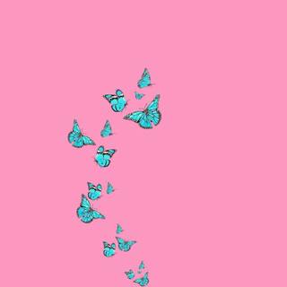 Butterfly tumblr wallpaper