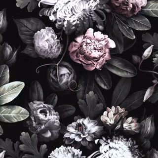 Black and white aesthetic roses wallpaper