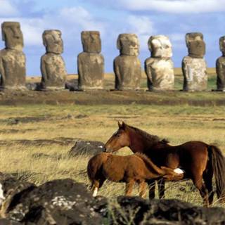 Easter horse wallpaper