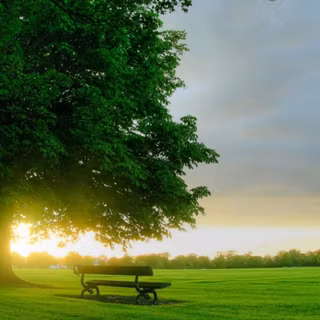 Colours spring wallpaper