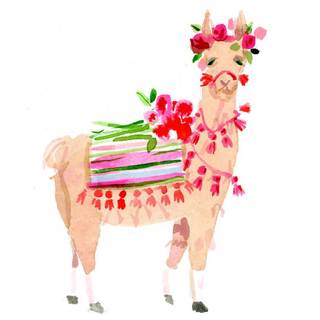 Cute spring llama wallpaper